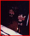 Action7.jpg
